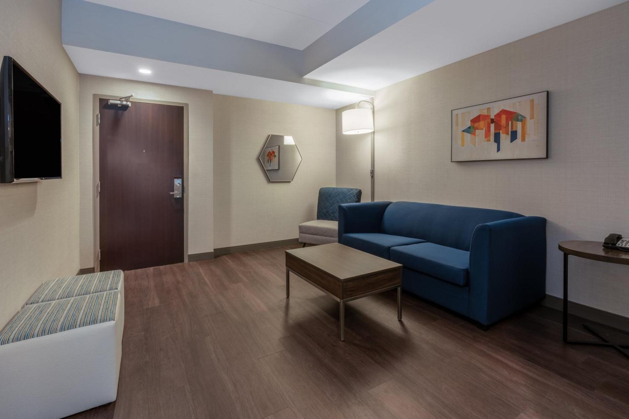 King Suite Sofa Bed Mobility Accessible